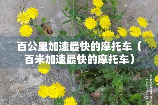 百公里加速最快的摩托车（百米加速最快的摩托车）