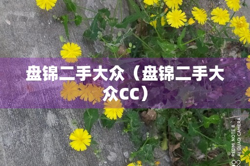 盘锦二手大众（盘锦二手大众CC）