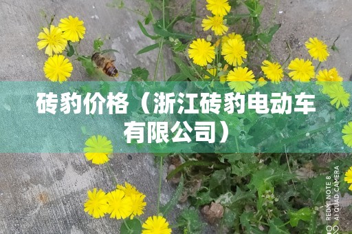 砖豹价格（浙江砖豹电动车有限公司）