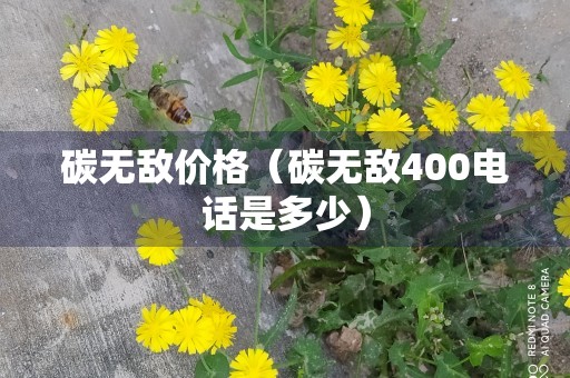 碳无敌价格（碳无敌400电话是多少）