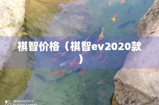 祺智价格（祺智ev2020款）