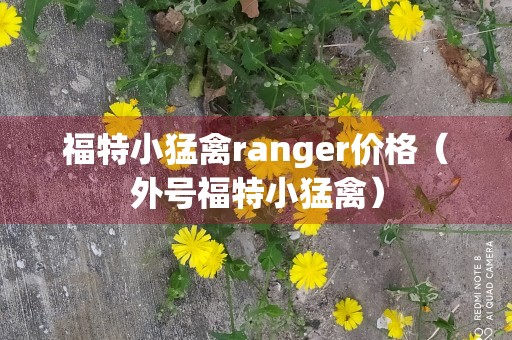 福特小猛禽ranger价格（外号福特小猛禽）