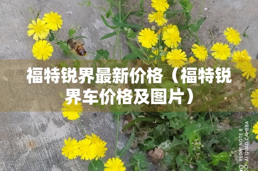 福特锐界最新价格（福特锐界车价格及图片）