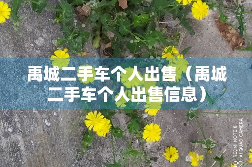 禹城二手车个人出售（禹城二手车个人出售信息）