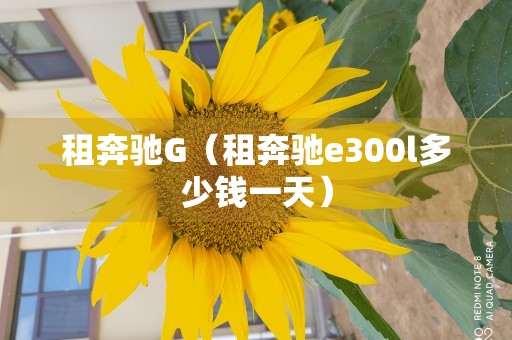 租奔驰G（租奔驰e300l多少钱一天）