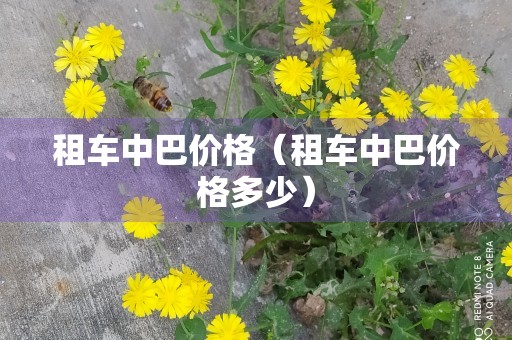 租车中巴价格（租车中巴价格多少）