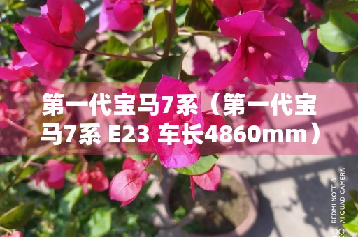 第一代宝马7系（第一代宝马7系 E23 车长4860mm）