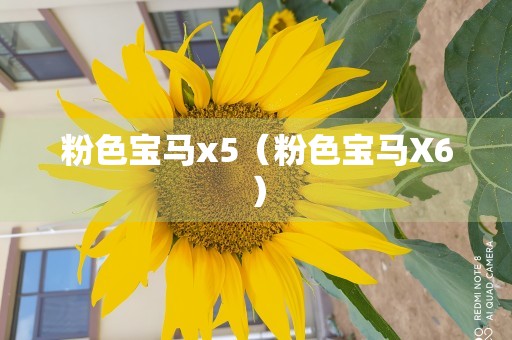 粉色宝马x5（粉色宝马X6）