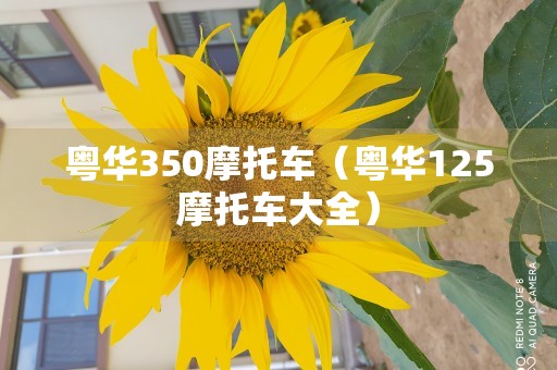 粤华350摩托车（粤华125摩托车大全）