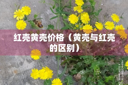 红壳黄壳价格（黄壳与红壳的区别）