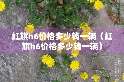 红旗h6价格多少钱一辆（红旗h6价格多少钱一辆）