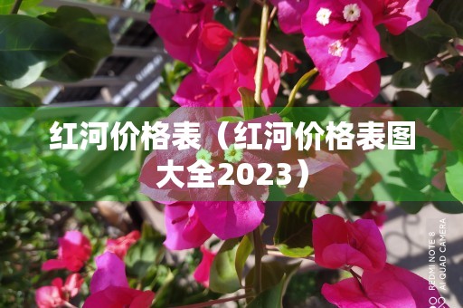 红河价格表（红河价格表图大全2023）