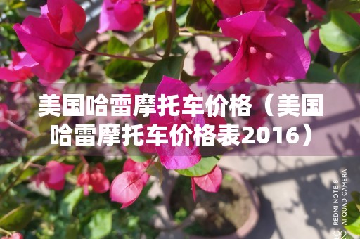 美国哈雷摩托车价格（美国哈雷摩托车价格表2016）