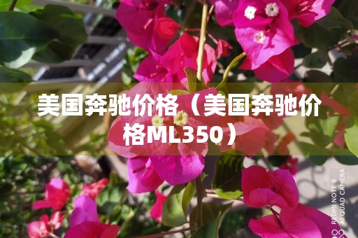 美国奔驰价格（美国奔驰价格ML350）