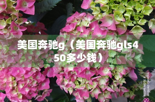 美国奔驰g（美国奔驰gls450多少钱）