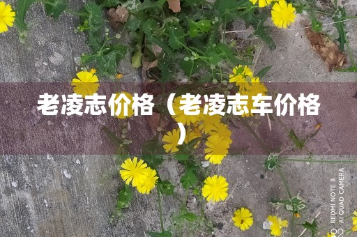 老凌志价格（老凌志车价格）