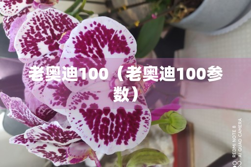 老奥迪100（老奥迪100参数）