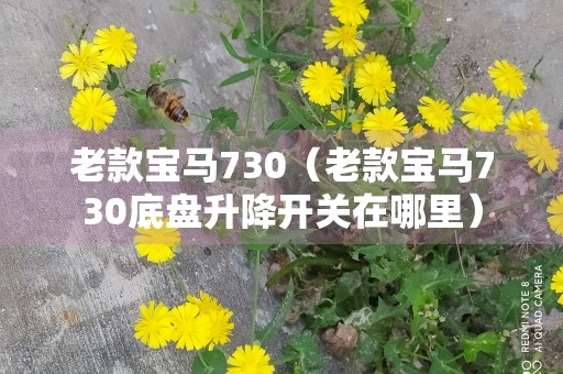 老款宝马730（老款宝马730底盘升降开关在哪里）