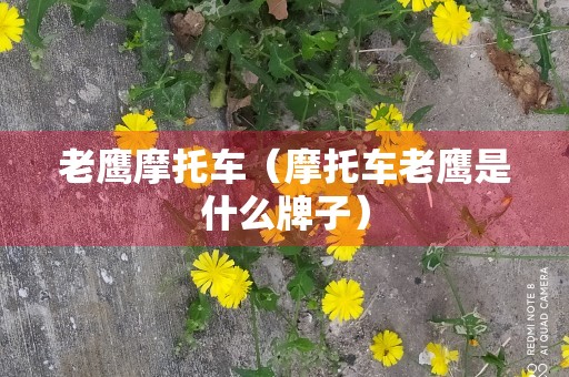 老鹰摩托车（摩托车老鹰是什么牌子）