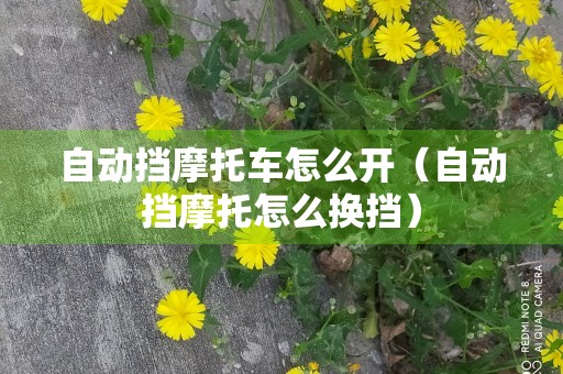 自动挡摩托车怎么开（自动挡摩托怎么换挡）