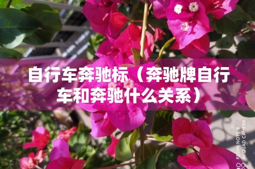 自行车奔驰标（奔驰牌自行车和奔驰什么关系）