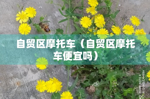 自贸区摩托车（自贸区摩托车便宜吗）