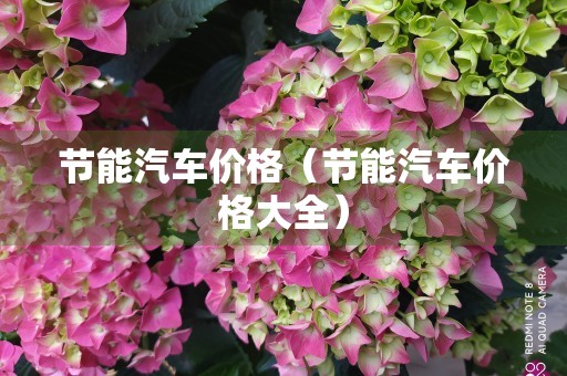 节能汽车价格（节能汽车价格大全）