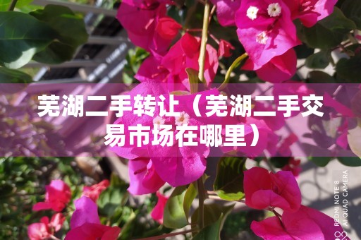 芜湖二手转让（芜湖二手交易市场在哪里）