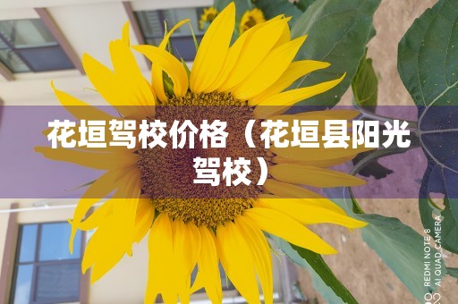 花垣驾校价格（花垣县阳光驾校）