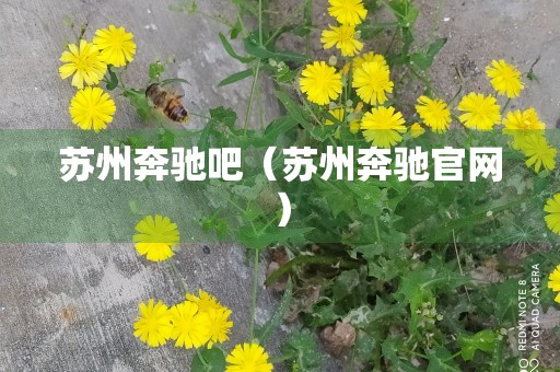 苏州奔驰吧（苏州奔驰官网）