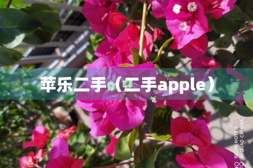 苹乐二手（二手apple）