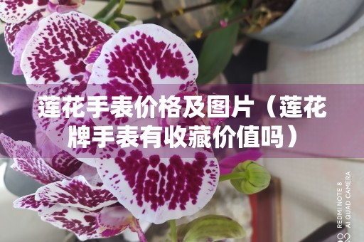 莲花手表价格及图片（莲花牌手表有收藏价值吗）