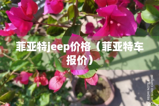 菲亚特jeep价格（菲亚特车报价）