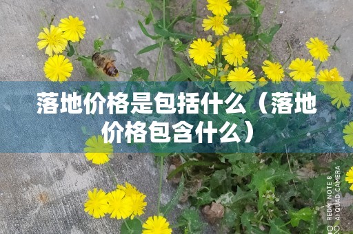 落地价格是包括什么（落地价格包含什么）