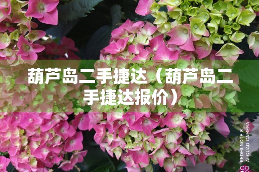 葫芦岛二手捷达（葫芦岛二手捷达报价）