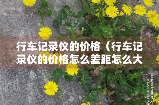 行车记录仪的价格（行车记录仪的价格怎么差距怎么大）