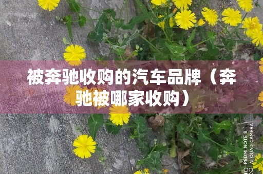 被奔驰收购的汽车品牌（奔驰被哪家收购）