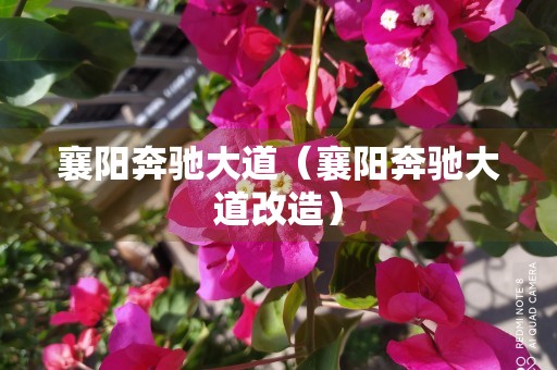 襄阳奔驰大道（襄阳奔驰大道改造）