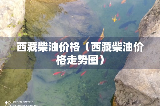 西藏柴油价格（西藏柴油价格走势图）