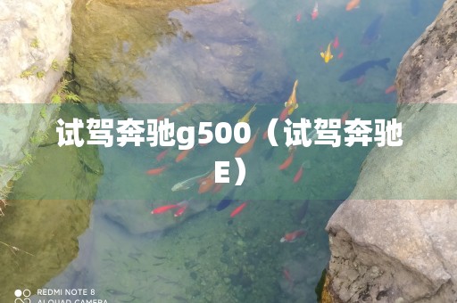 试驾奔驰g500（试驾奔驰E）