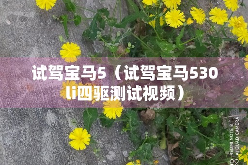 试驾宝马5（试驾宝马530li四驱测试视频）