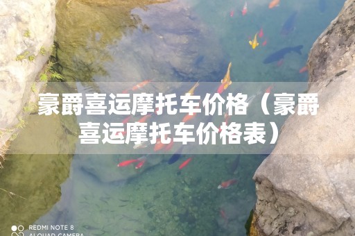 豪爵喜运摩托车价格（豪爵喜运摩托车价格表）