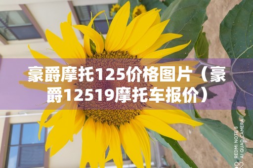 豪爵摩托125价格图片（豪爵12519摩托车报价）