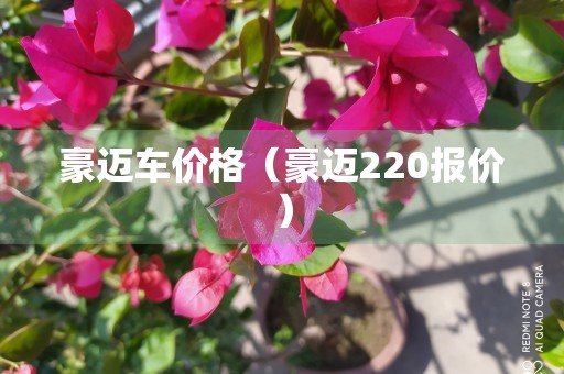 豪迈车价格（豪迈220报价）