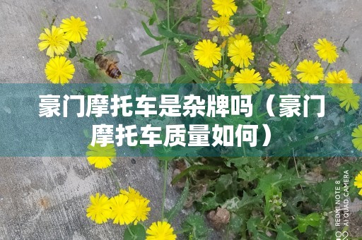 豪门摩托车是杂牌吗（豪门摩托车质量如何）