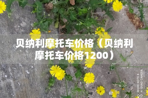 贝纳利摩托车价格（贝纳利摩托车价格1200）