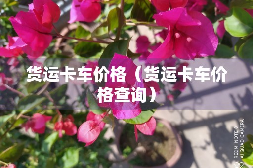 货运卡车价格（货运卡车价格查询）