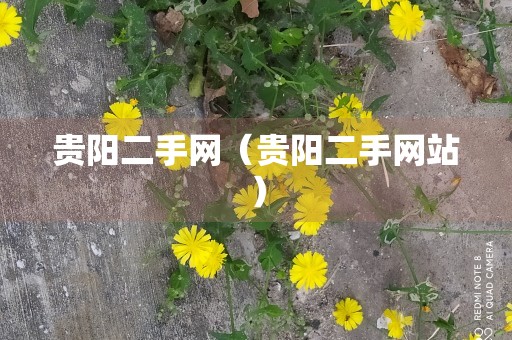 贵阳二手网（贵阳二手网站）