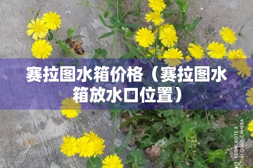 赛拉图水箱价格（赛拉图水箱放水口位置）