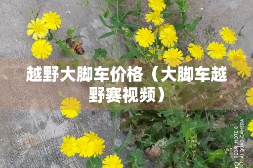 越野大脚车价格（大脚车越野赛视频）